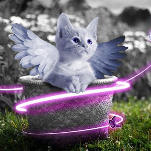 强行扒开双腿疯狂猛烈进入的软件
